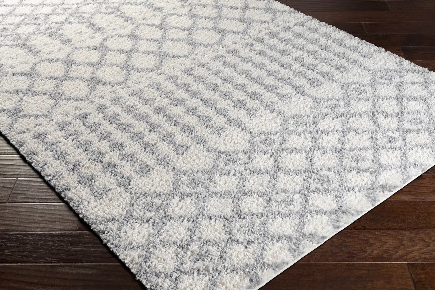 Teheran Area Rug - Clearance by Boutique Rugs