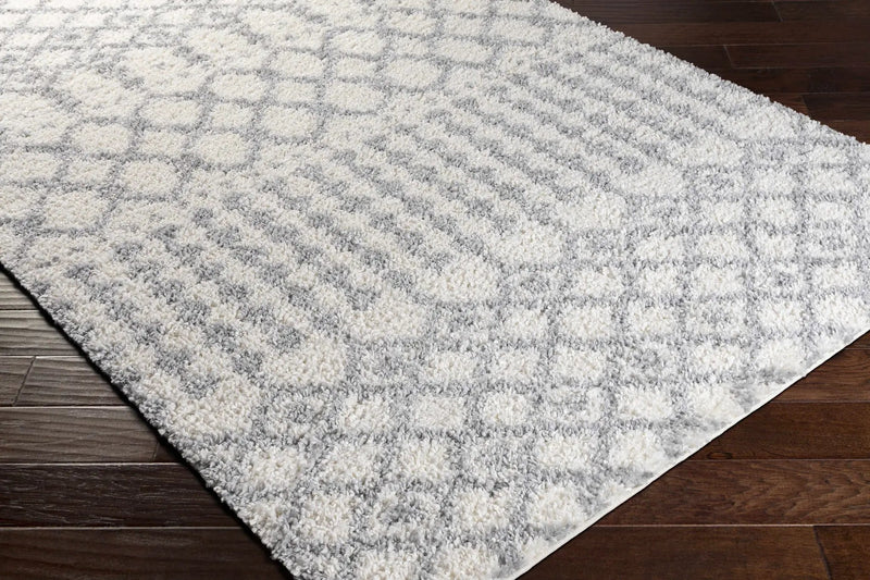 Teheran Area Rug - Clearance by Boutique Rugs