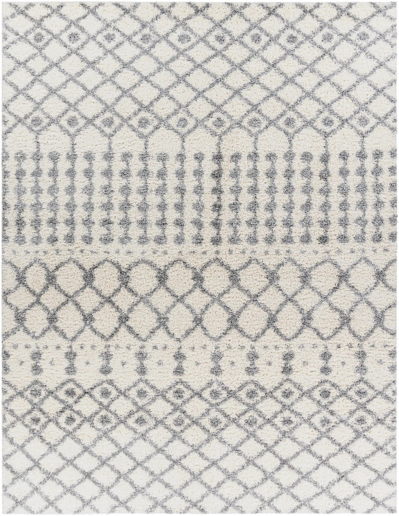 Teheran Area Rug - Clearance by Boutique Rugs