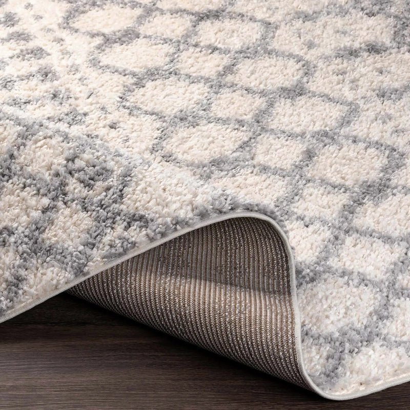 Teheran Area Rug - Clearance by Boutique Rugs