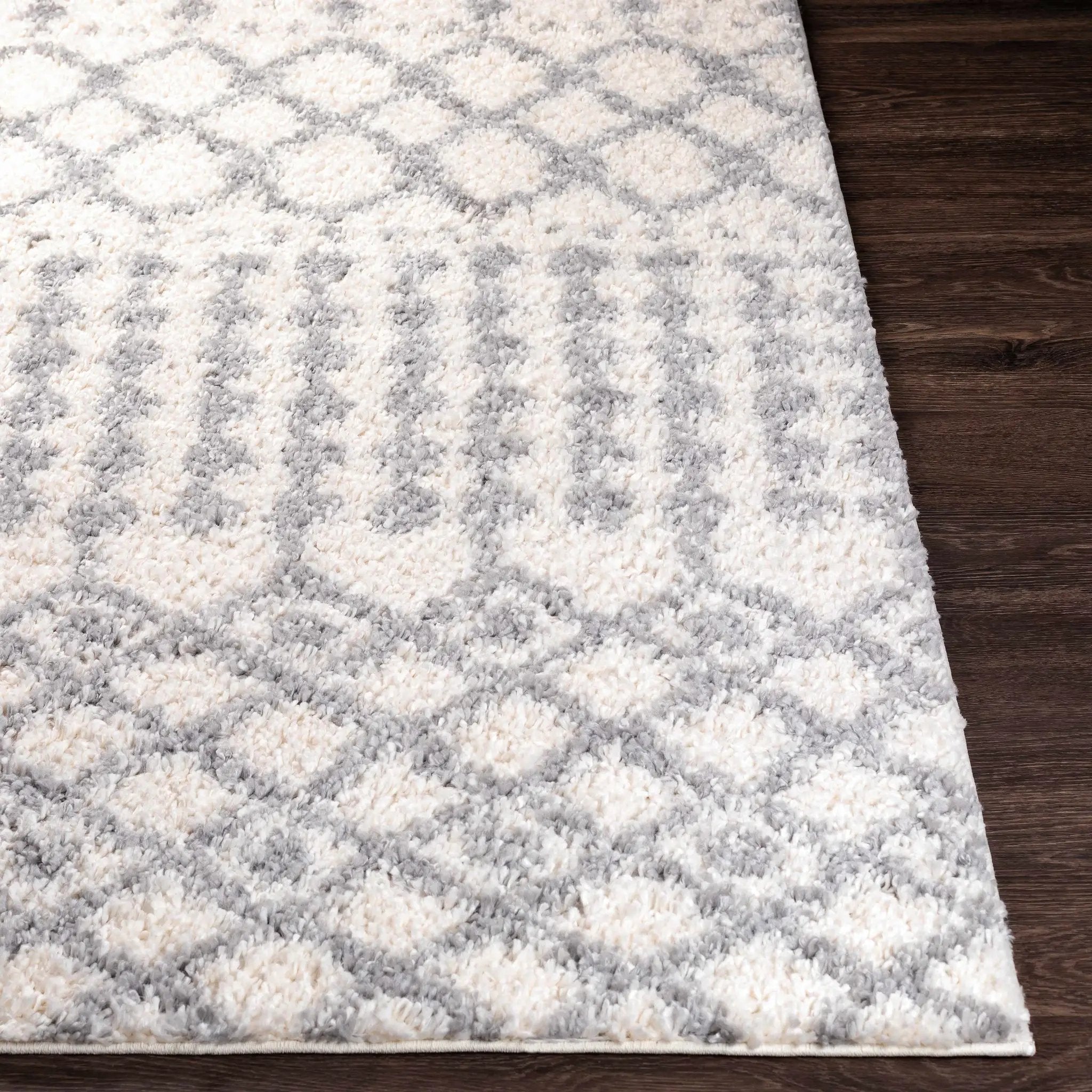 Teheran Area Rug - Clearance by Boutique Rugs
