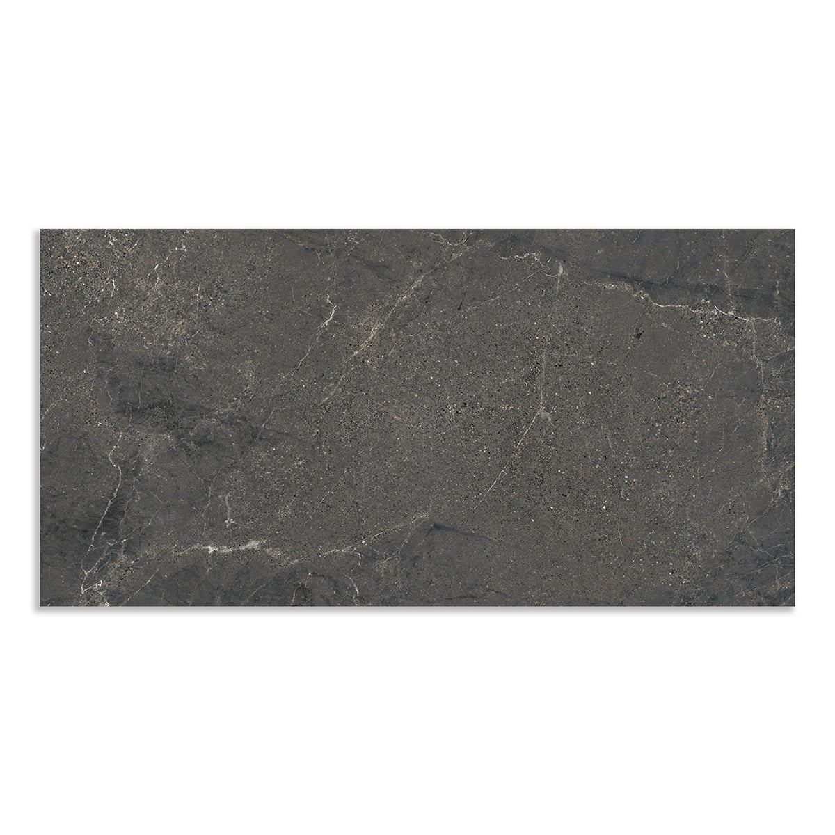Tempest Matte Porcelain Tiles 12x24 Porcelain Matte 12x24 Tiles