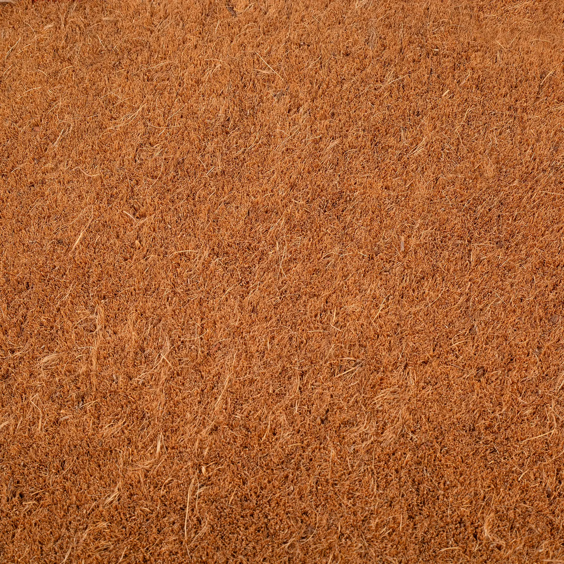Terracotta Border Coir Doormat by Fab Habitat