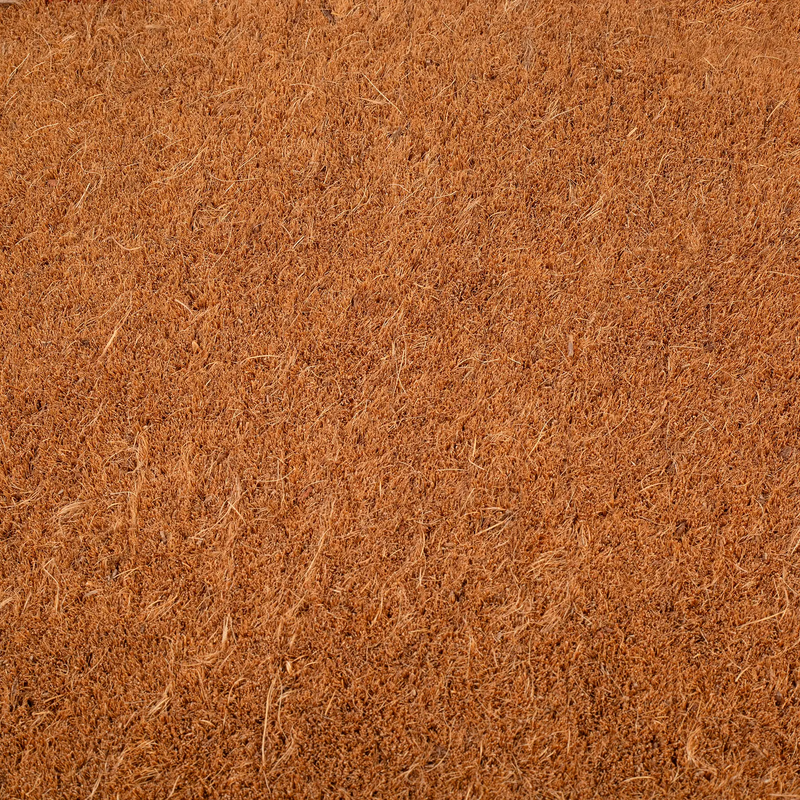 Terracotta Border Coir Doormat by Fab Habitat