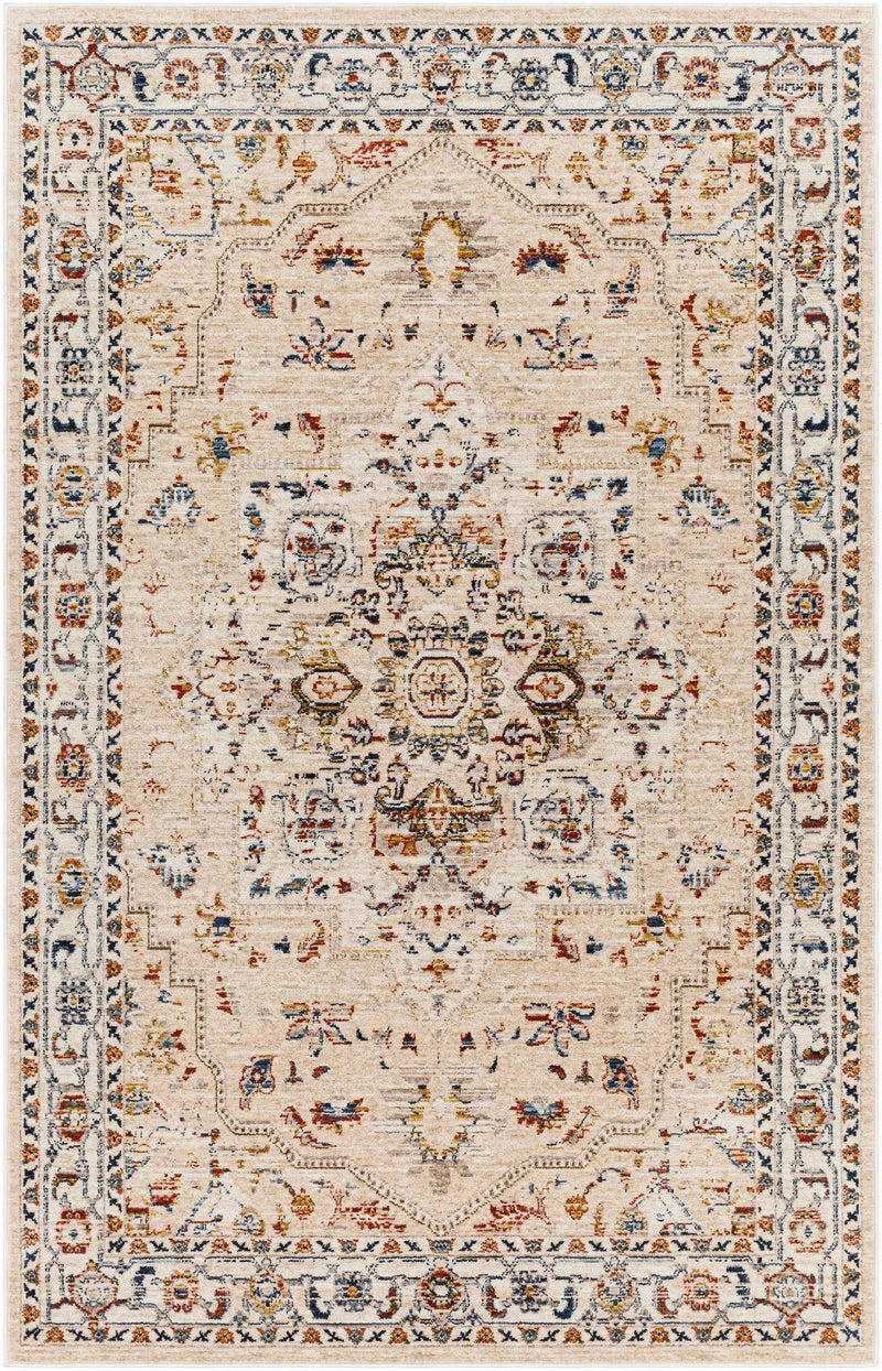 Teva Traditional Style Rug - Clearance by Boutique Rugs