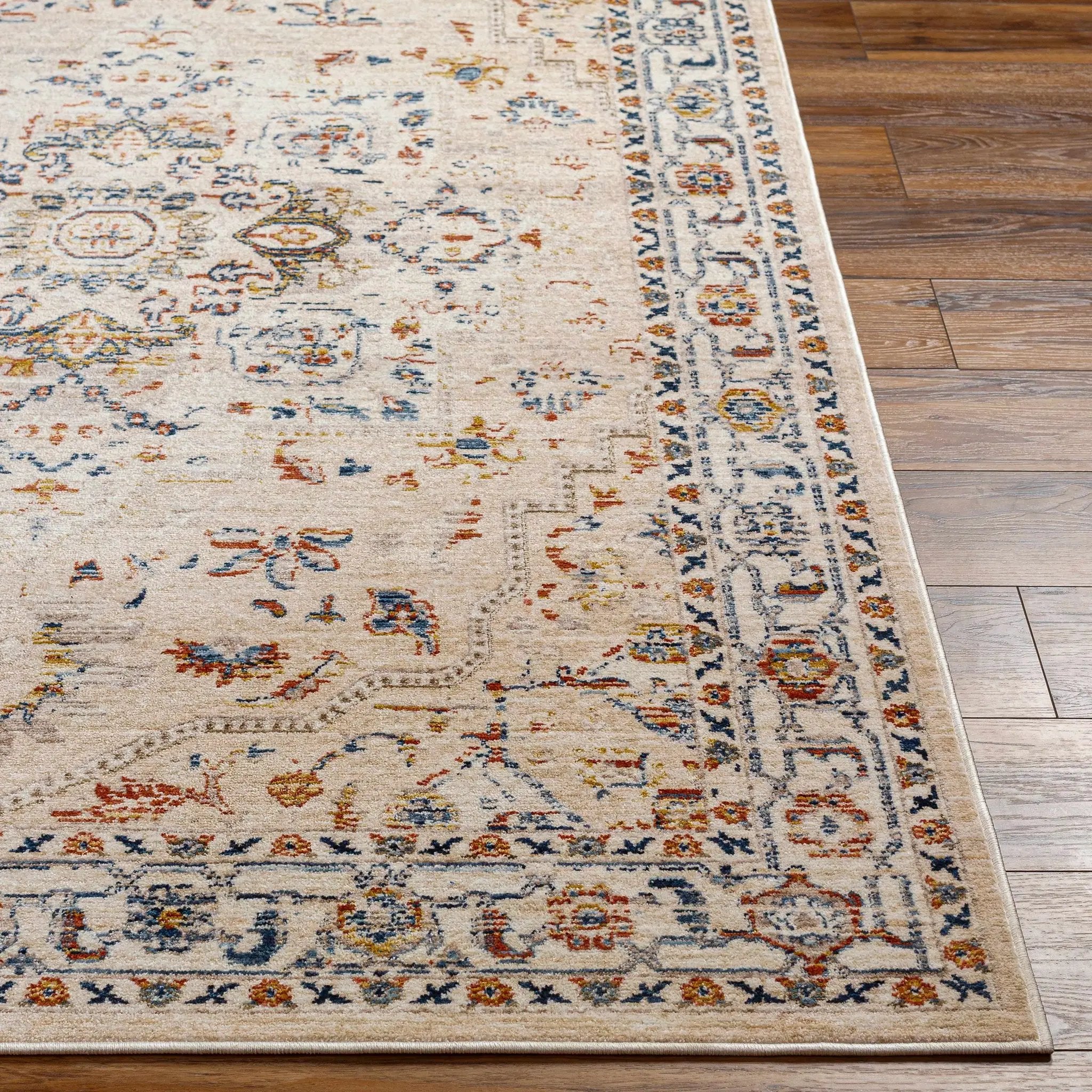 Teva Traditional Style Rug - Clearance by Boutique Rugs