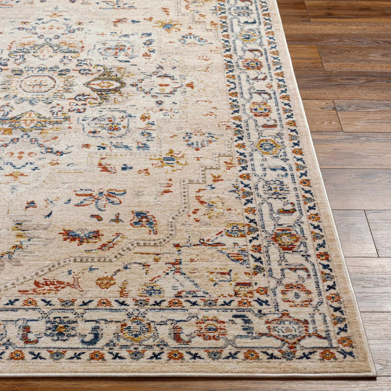 Teva Traditional Style Rug - Clearance by Boutique Rugs