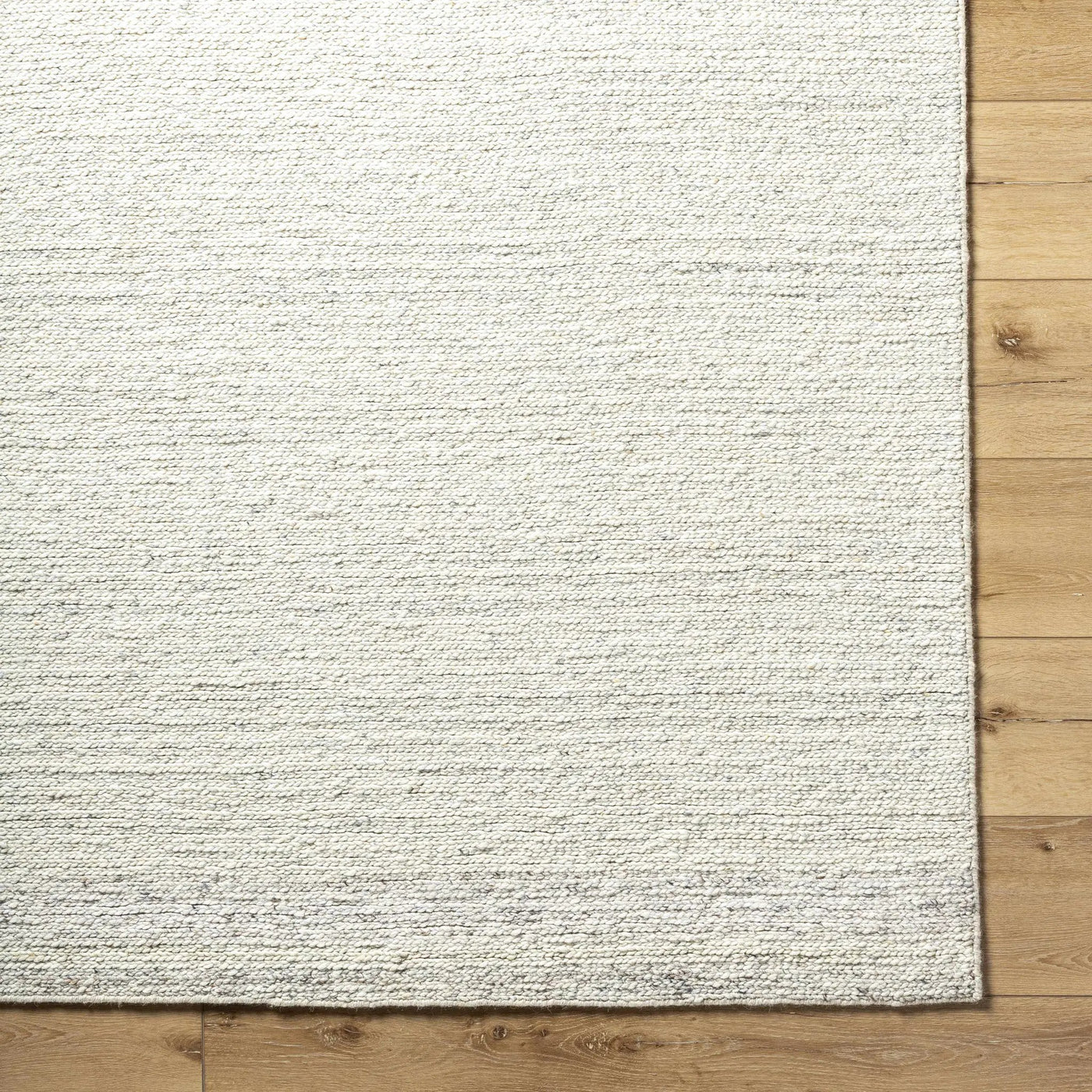 Thady Area Rug by Boutique Rugs