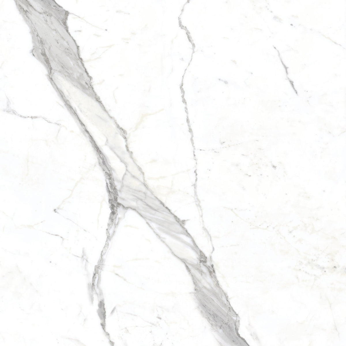The Thirties Statuarietto Honed Marble Look Porcelain Tiles 30x30 close up