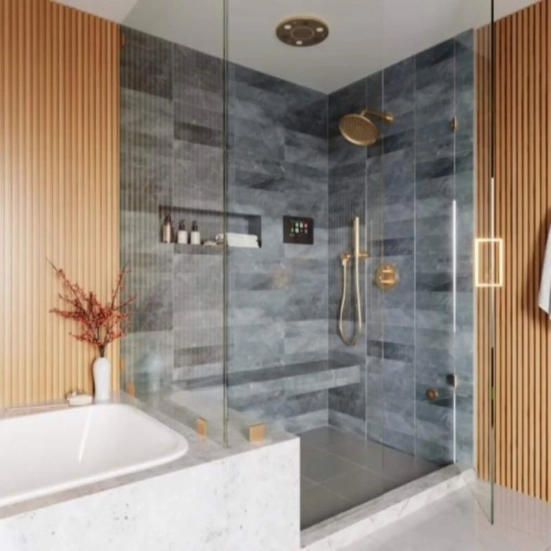 ThermaSol Serenity 10 Round Steam Shower Rainhead System With Light & Sound [SLSRRD] (SAK14982) by SAKSBY WHOLESALE