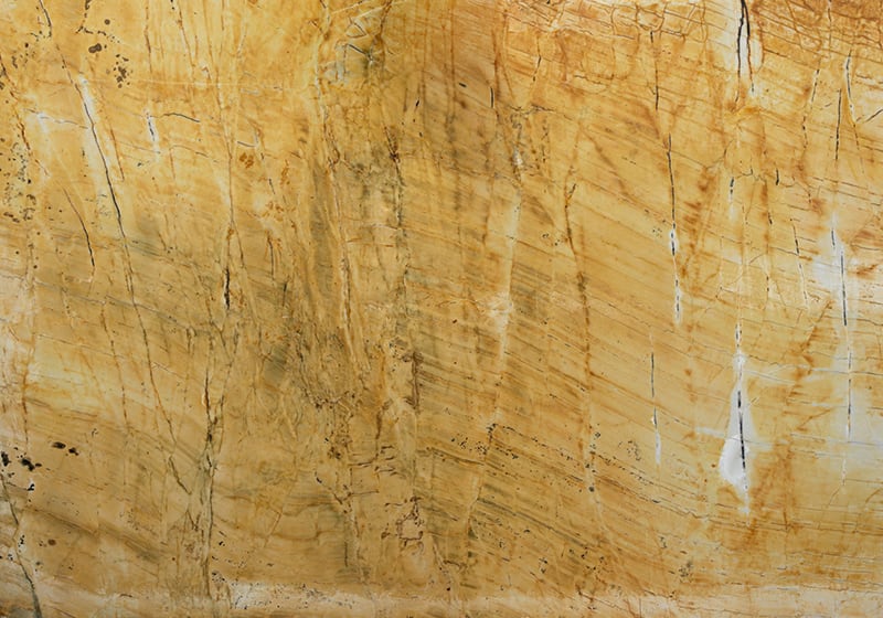 Thesaurus Polished Quartzite Slab Random