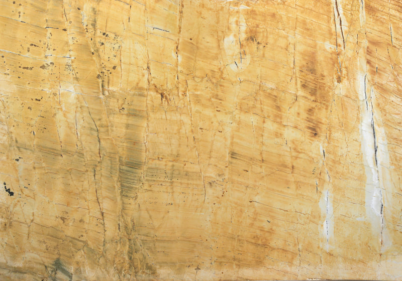 Thesaurus Textured Quartzite Slab Random
