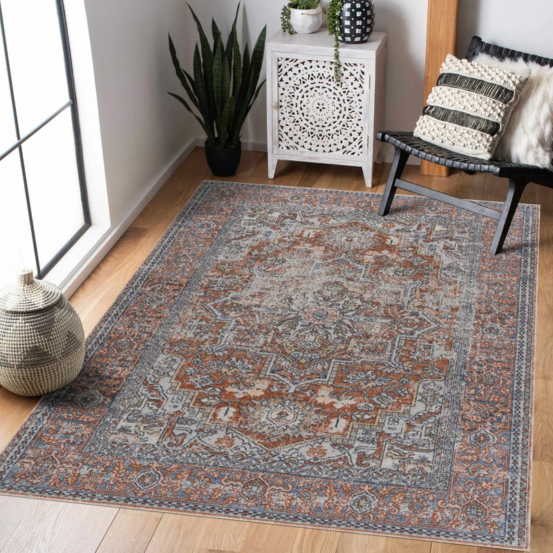 Aila Traditional Design Washable Rug - Clearance by Boutique Rugs