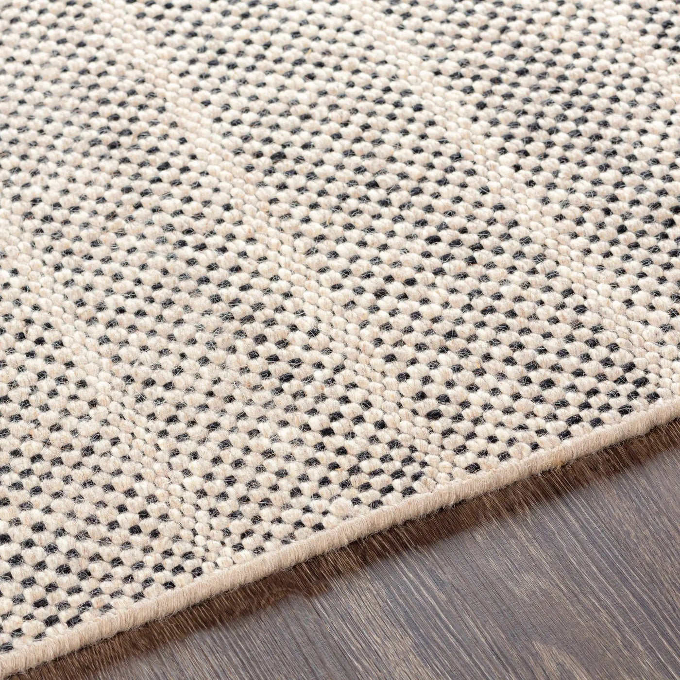 Thorold Area Rug - Clearance by Boutique Rugs