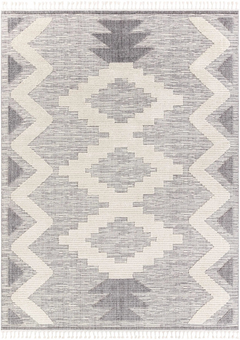 Thornburg High/Low Pile Rug with Tassels - Clearance by Boutique Rugs