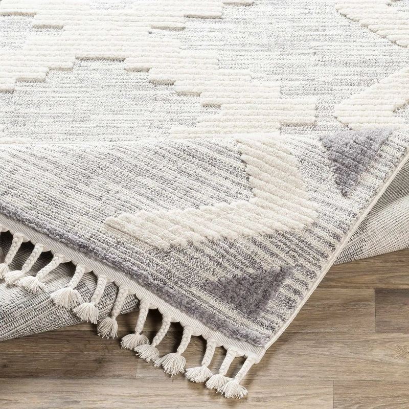 Thornburg High/Low Pile Rug with Tassels - Clearance by Boutique Rugs