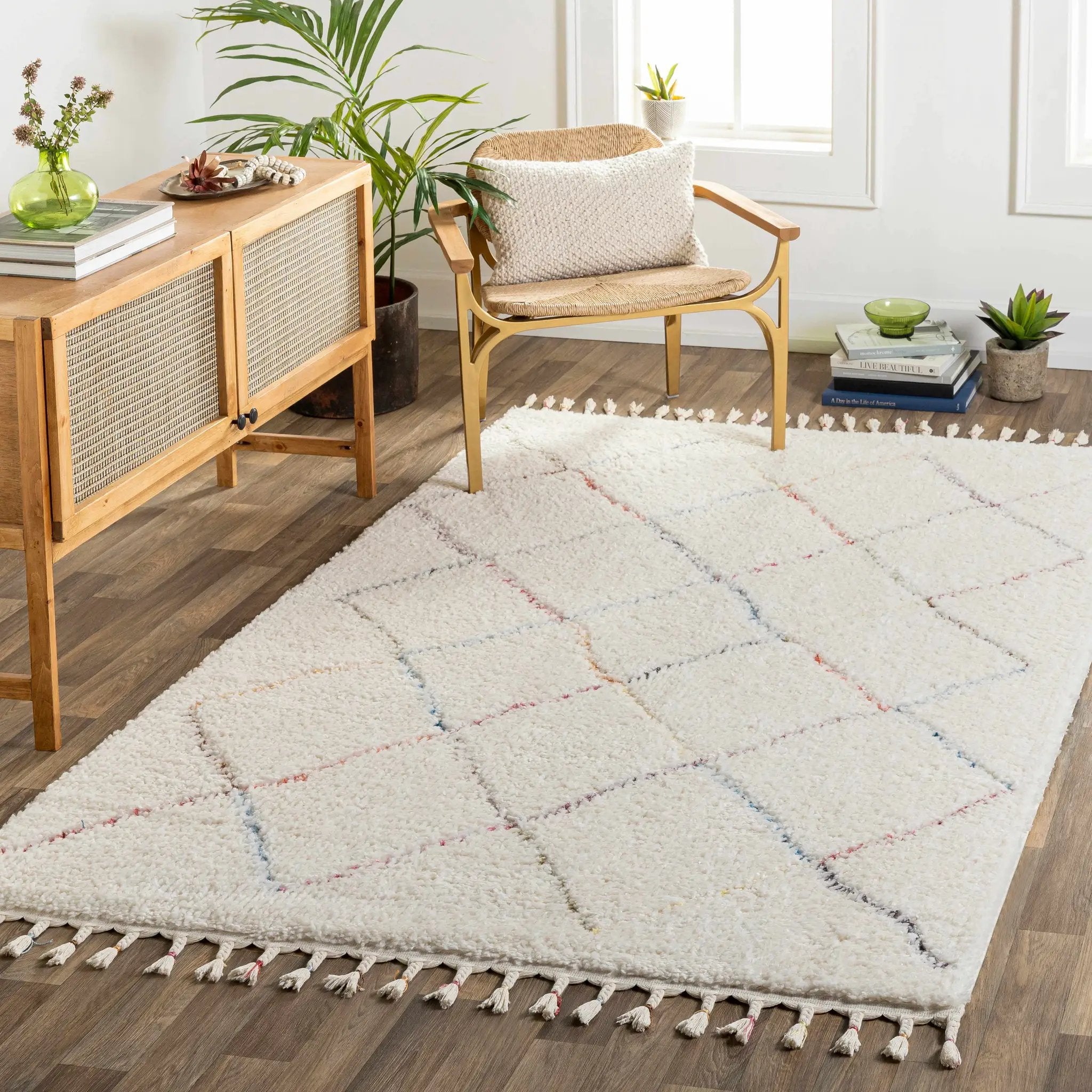 Tigao Area Rug - Clearance by Boutique Rugs