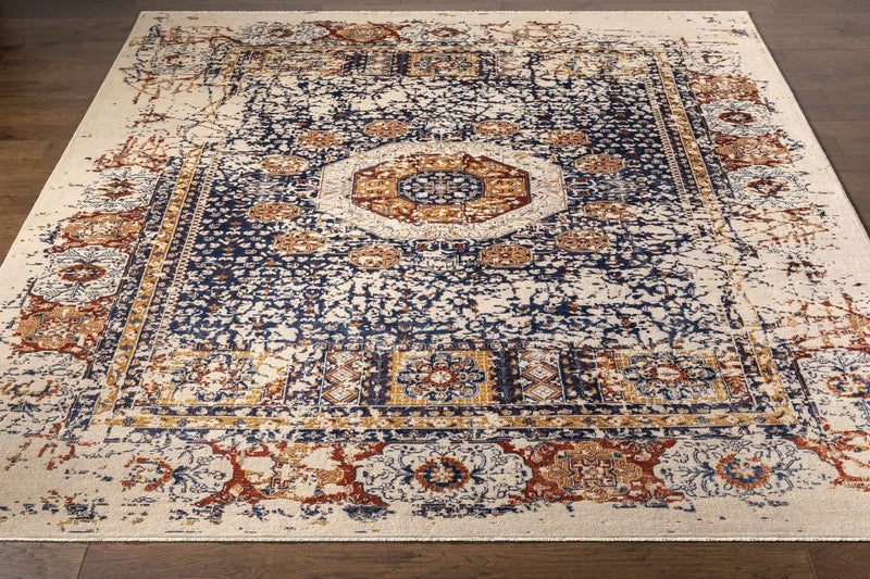 Timnath Clearance Rug - Clearance by Boutique Rugs