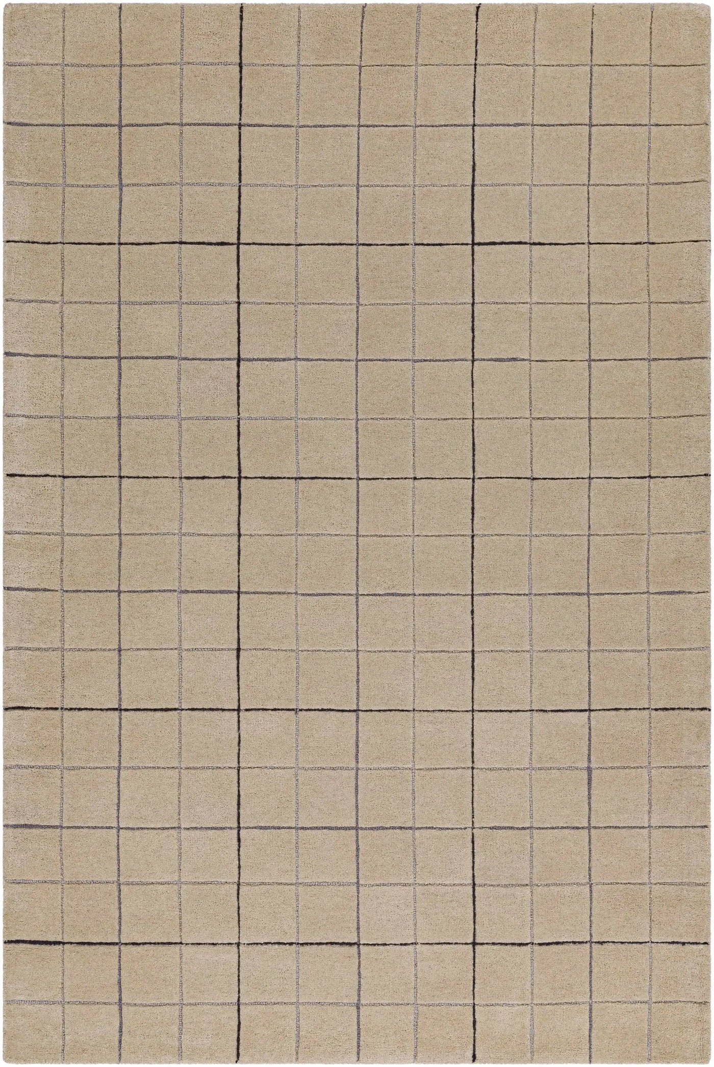 Toshi Beige Area Rug by Boutique Rugs