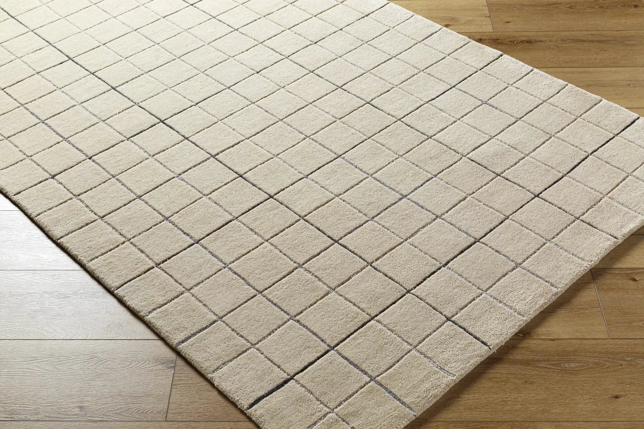 Toshi Beige Area Rug by Boutique Rugs