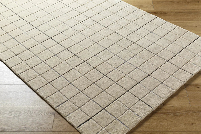 Toshi Beige Area Rug by Boutique Rugs