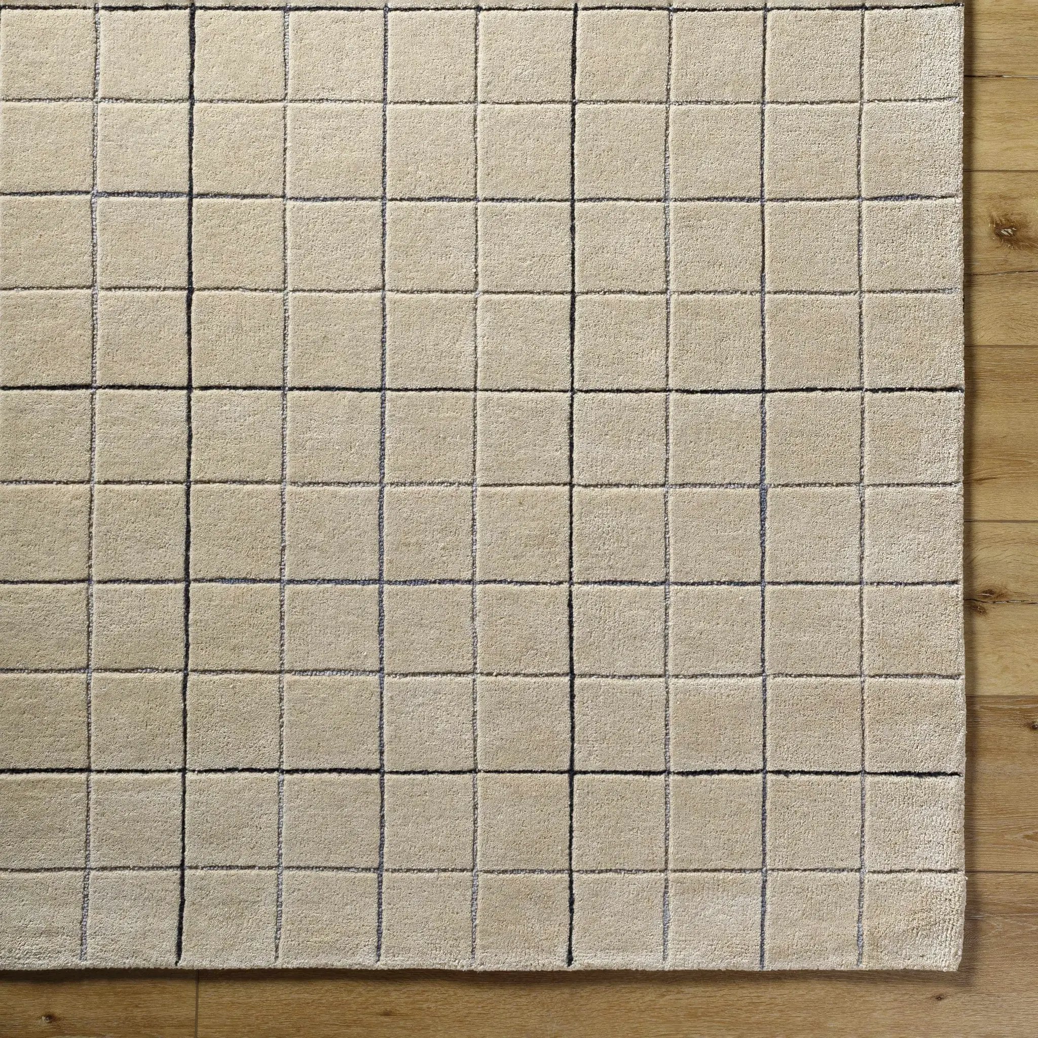 Toshi Beige Area Rug by Boutique Rugs
