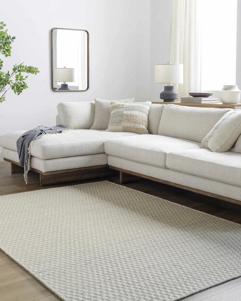 Tevah Siver Wool Rug by Boutique Rugs