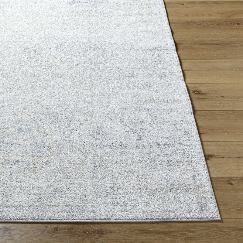 Totsi Area Rug - Clearance by Boutique Rugs