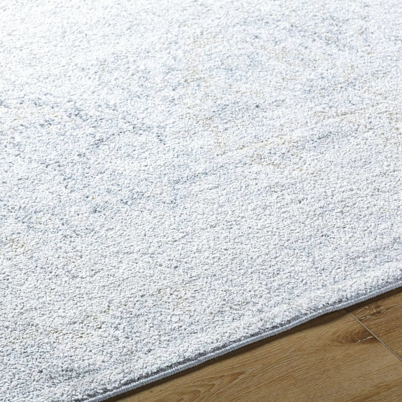 Totsi Area Rug - Clearance by Boutique Rugs
