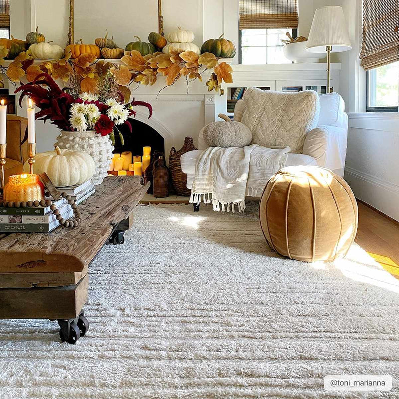 Ibarra Textured Ivory High/Low Pile Rug with Tassels by Boutique Rugs