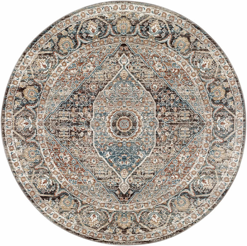 Baychester Brown Area Rug - Clearance by Boutique Rugs