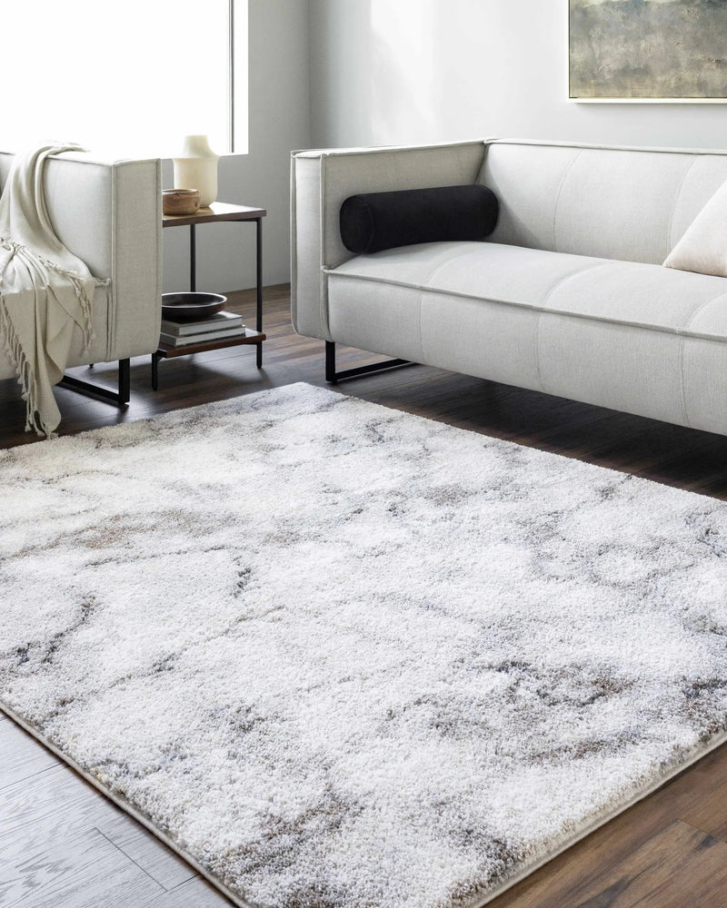 Titan Light Gray Area Rug - Clearance by Boutique Rugs