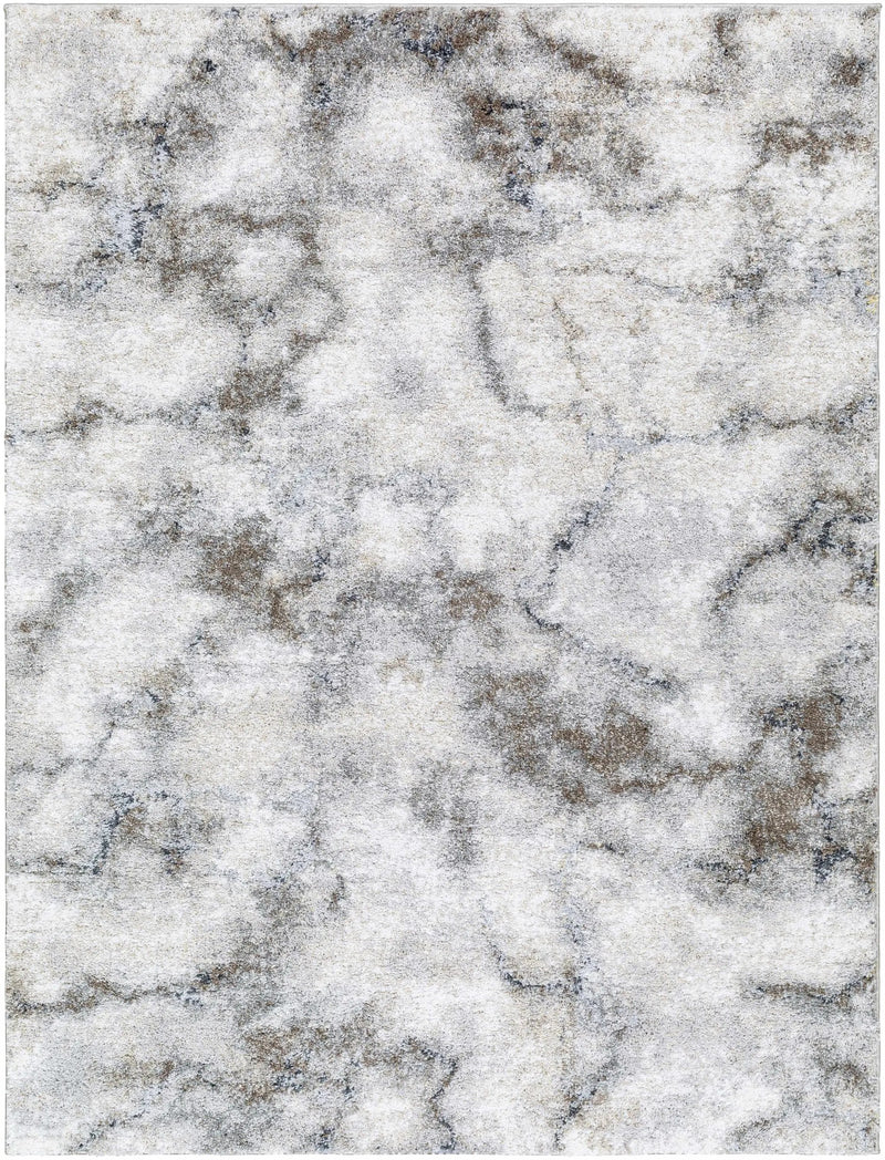 Titan Light Gray Area Rug - Clearance by Boutique Rugs