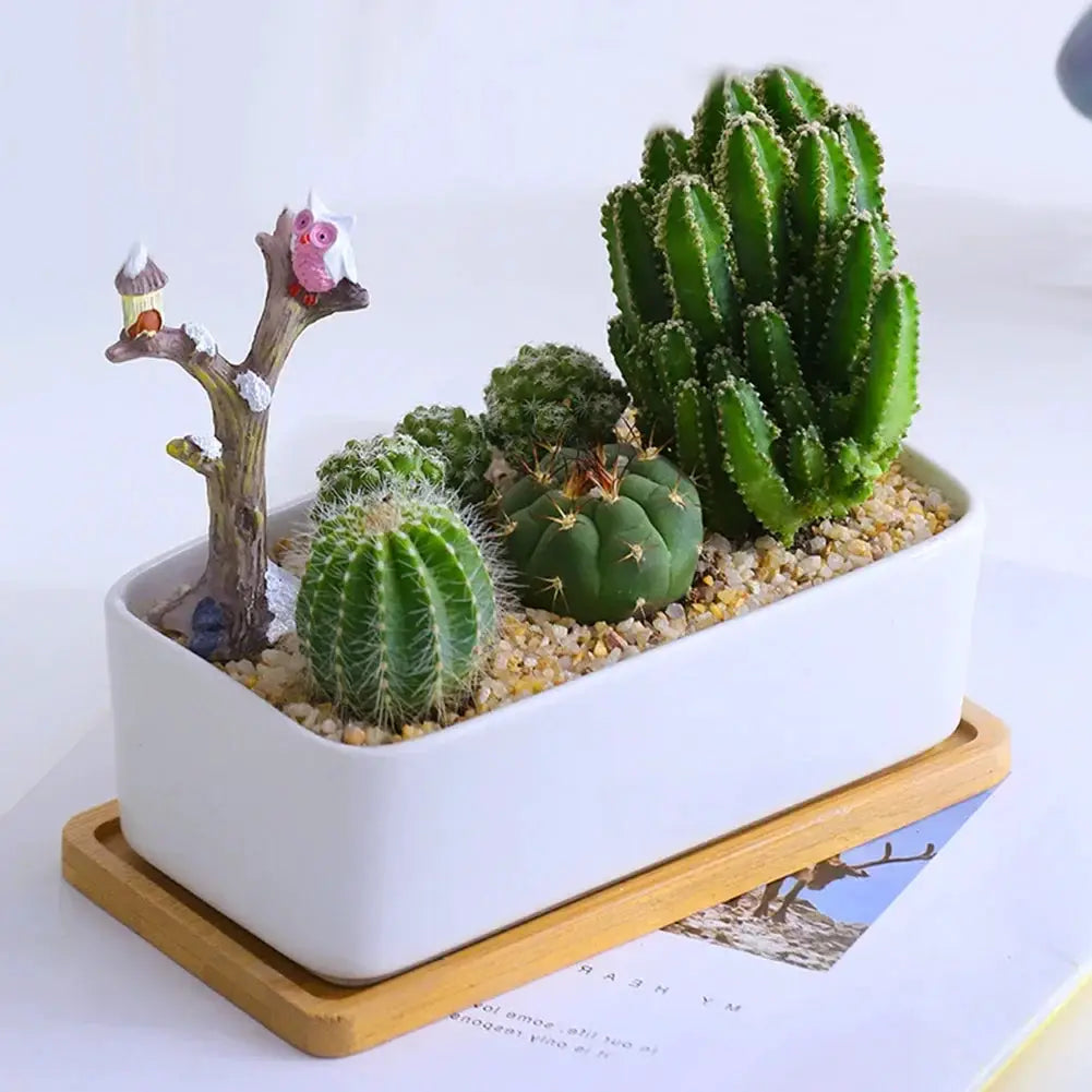 Tray - Natural Wooden Organizer by House Of Avana