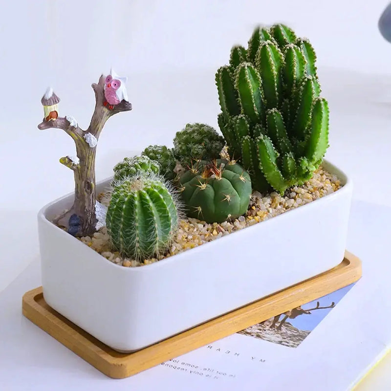 Tray - Natural Wooden Organizer by House Of Avana