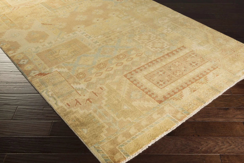 Troy Area Rug - Clearance by Boutique Rugs