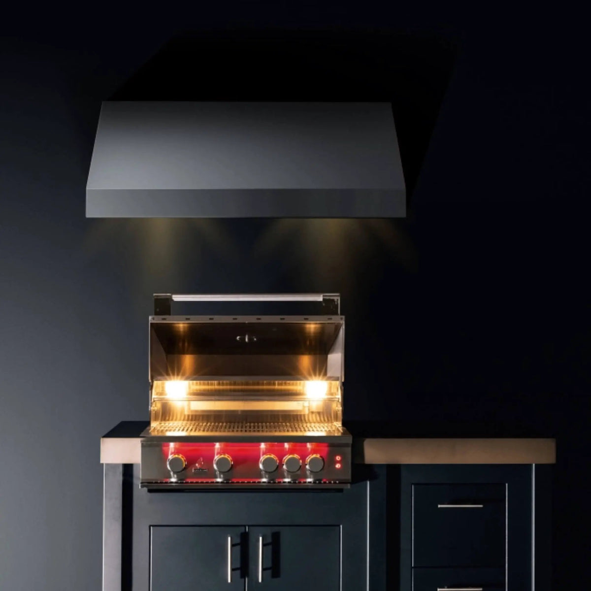TrueFlame Luxury Built-In Gas Stainless Steel Grills [TF25/32/40] (SAK30587) by SAKSBY WHOLESALE