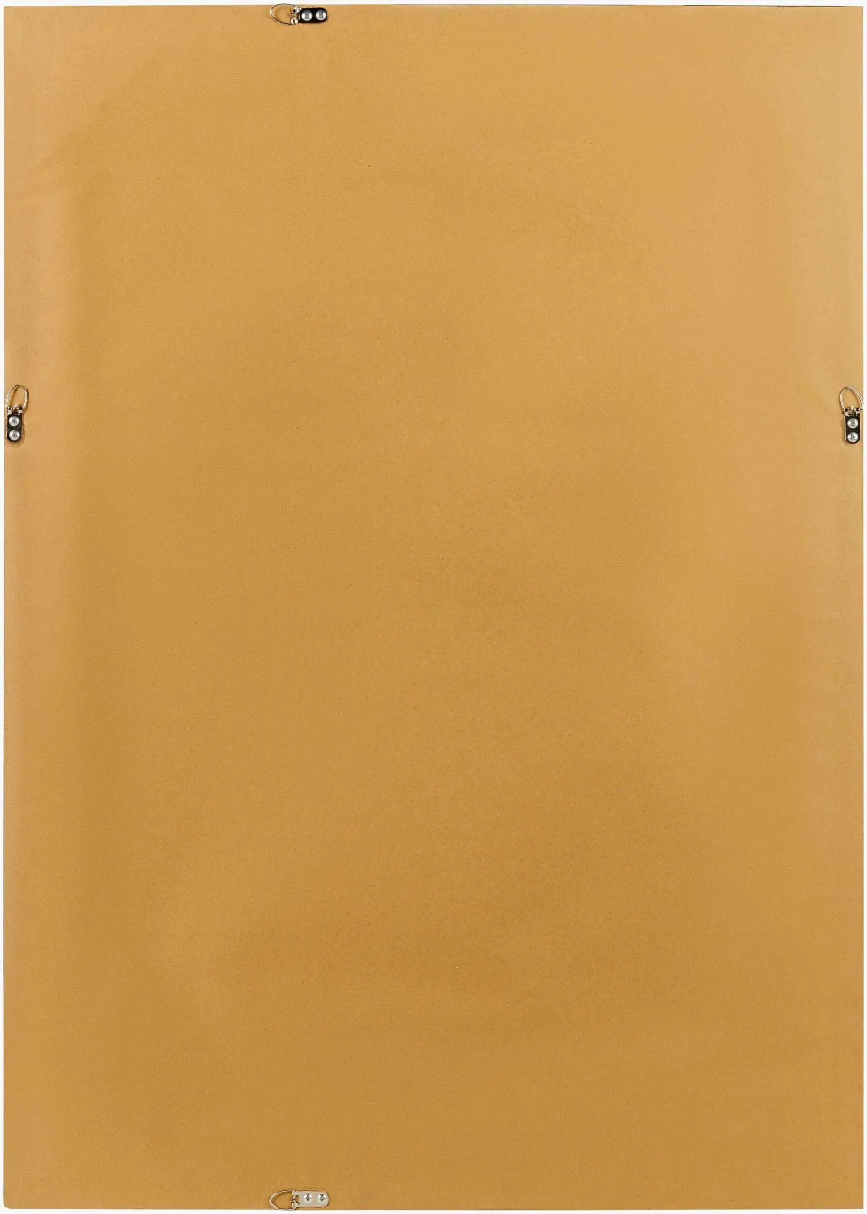 Netzschkau Rectangular Gold Mirror by Boutique Rugs