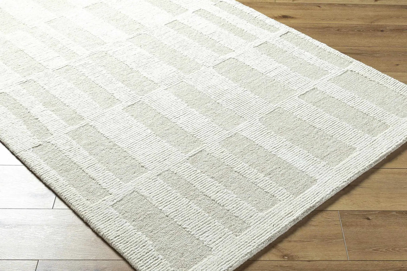 Teige Light Silver Area Rug by Boutique Rugs