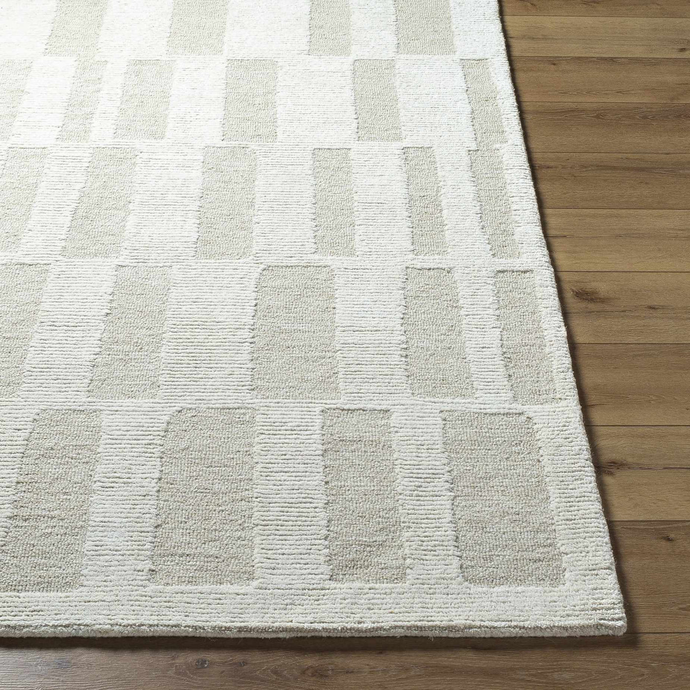 Teige Light Silver Area Rug by Boutique Rugs