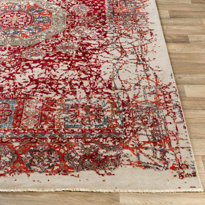 Tulare Clearance Rug - Clearance by Boutique Rugs