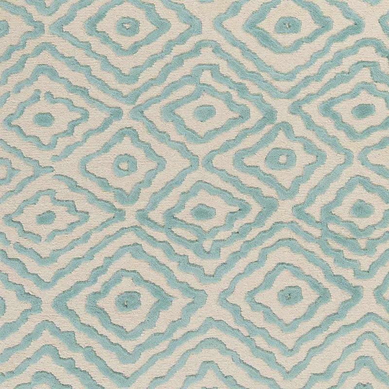 Tuskahoma Premium Area Carpet - Clearance by Boutique Rugs