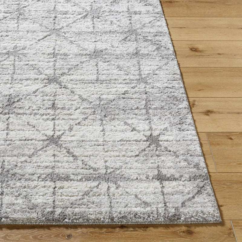 Tyree Distressed Gray Trellis Area Rug by Boutique Rugs