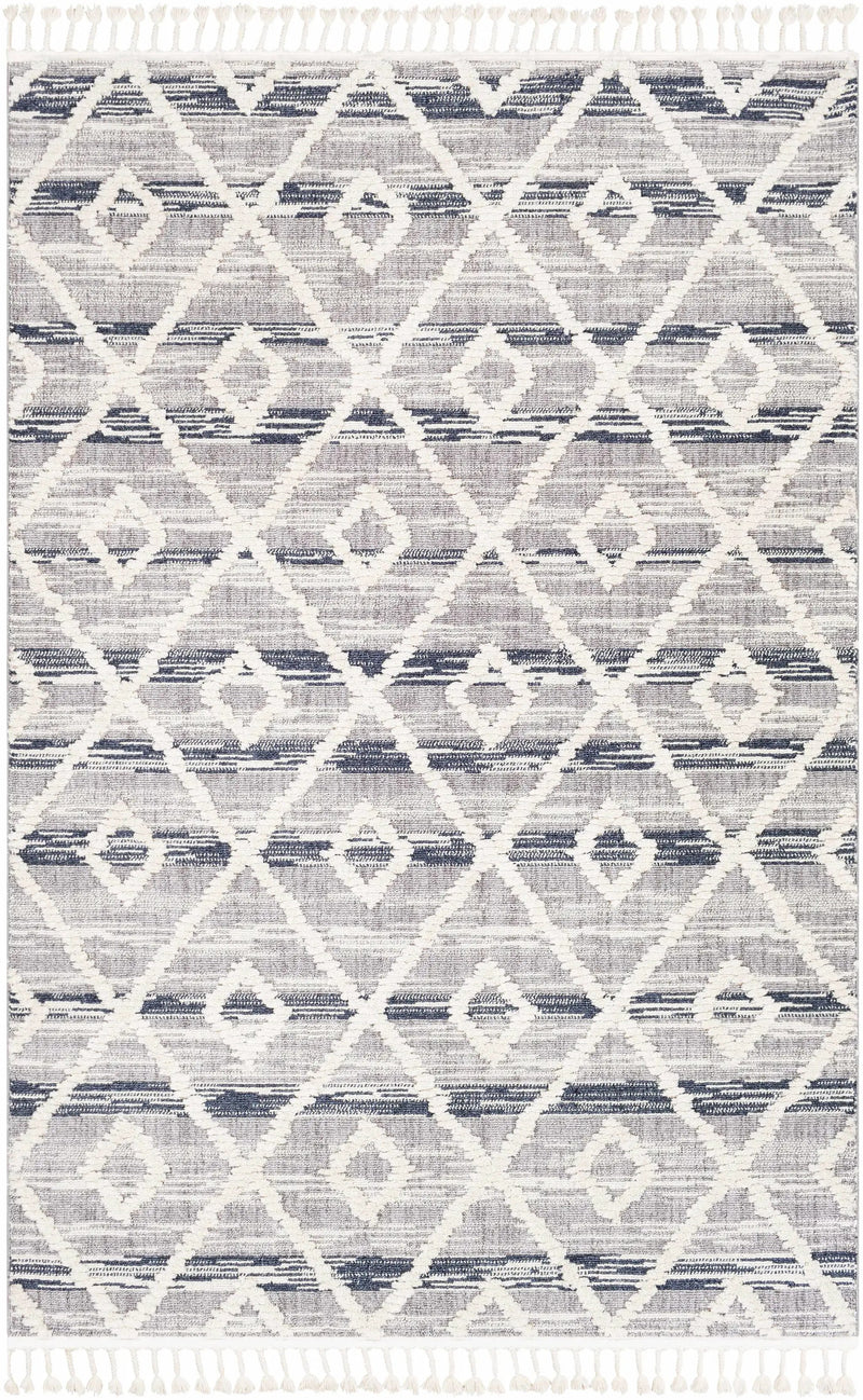 Upham High/Low Pile Rug with Tassels - Clearance by Boutique Rugs