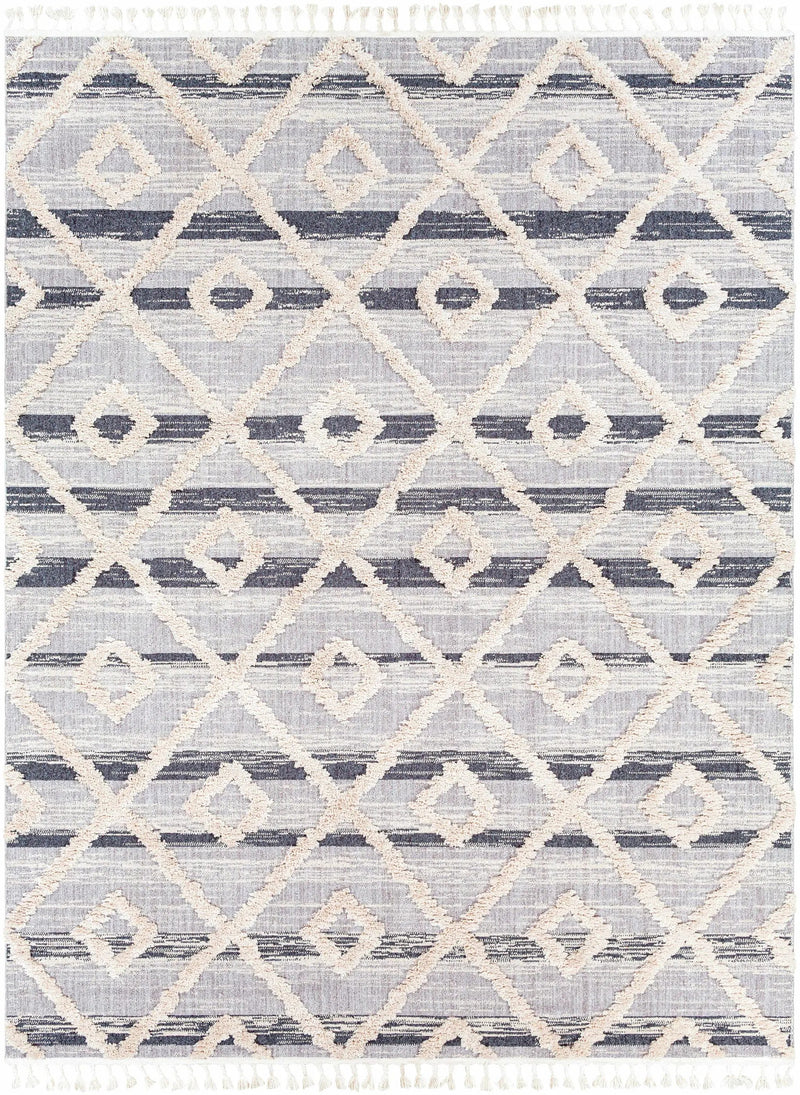 Upham High/Low Pile Rug with Tassels - Clearance by Boutique Rugs
