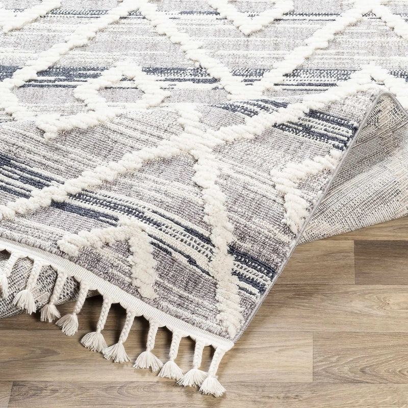 Upham High/Low Pile Rug with Tassels - Clearance by Boutique Rugs