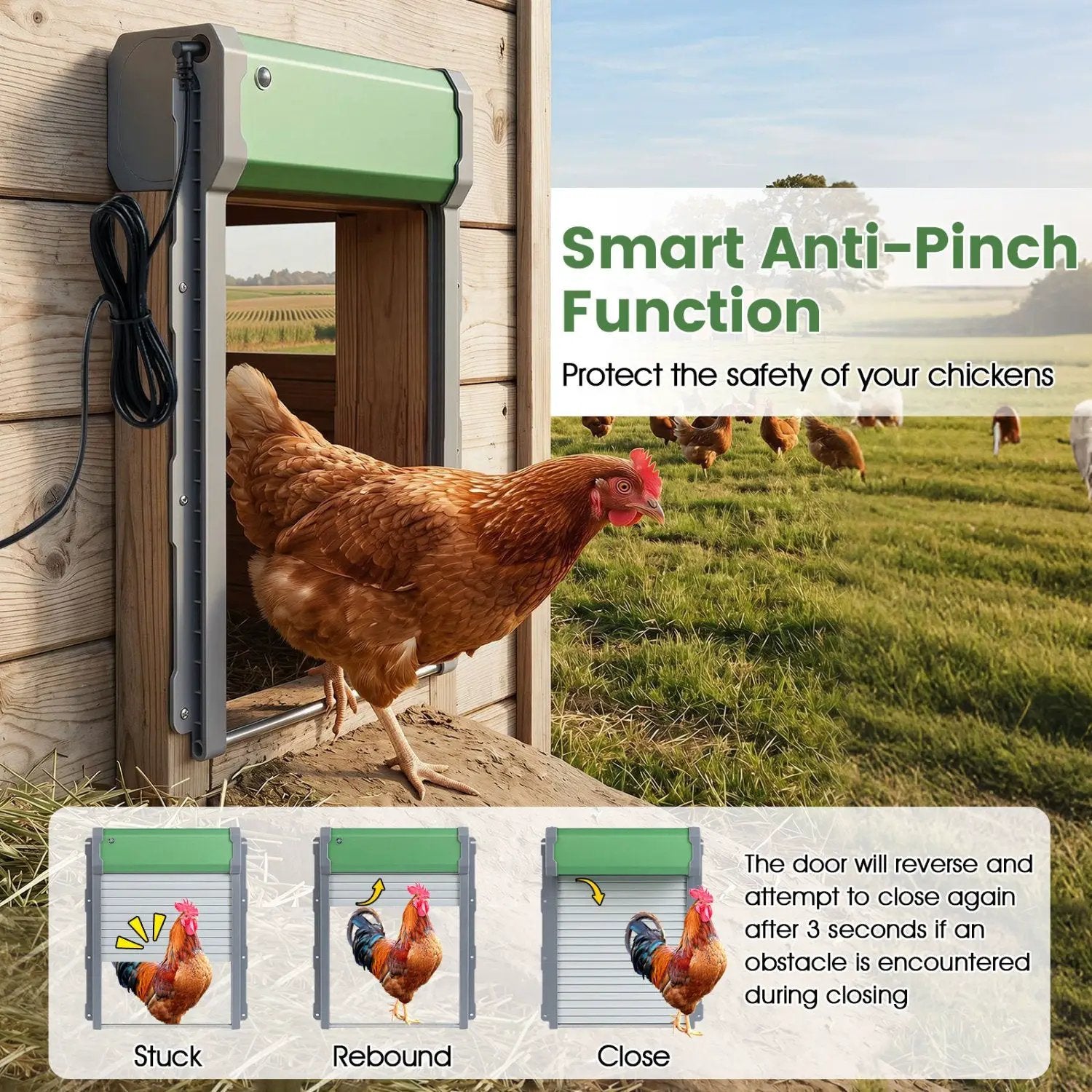 Automatic Chicken Coop Door with Remote Control & Light Sensor by DirectDeals