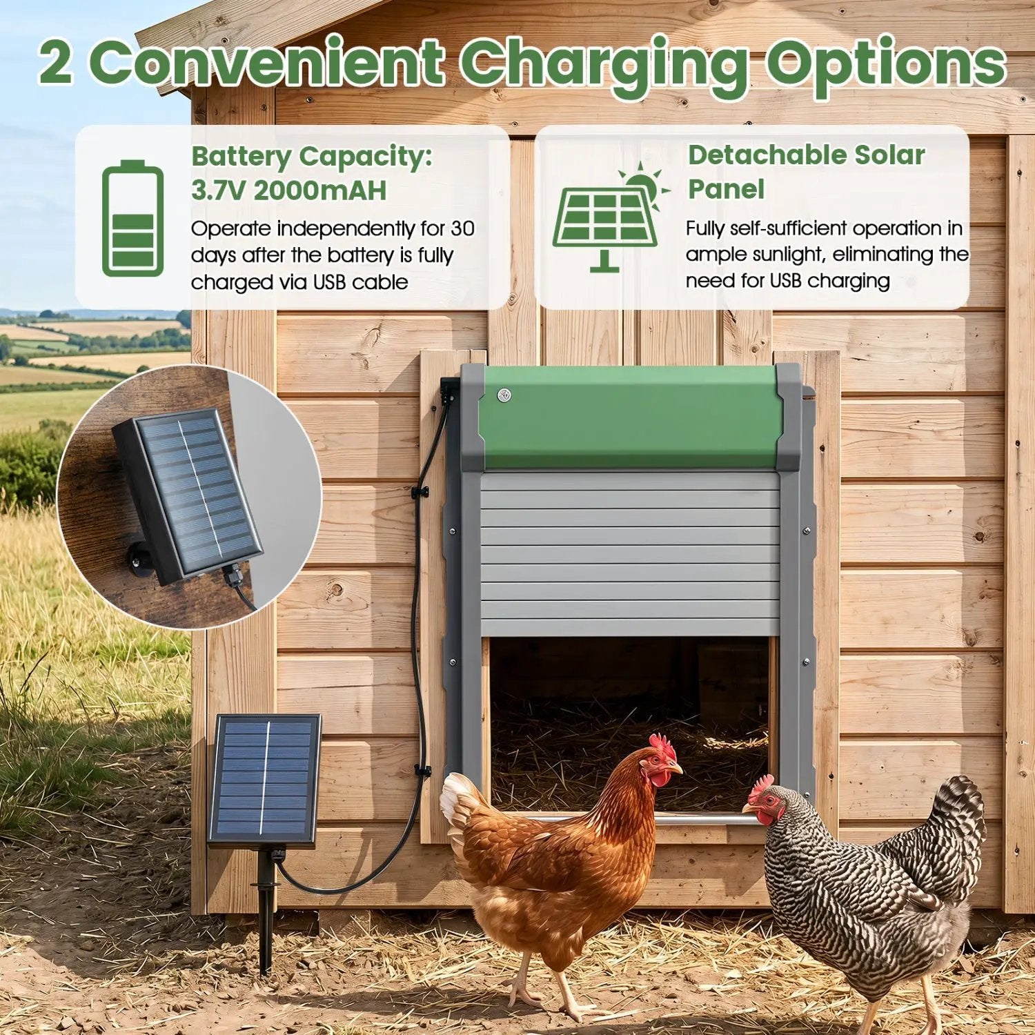 Automatic Chicken Coop Door with Remote Control & Light Sensor by DirectDeals