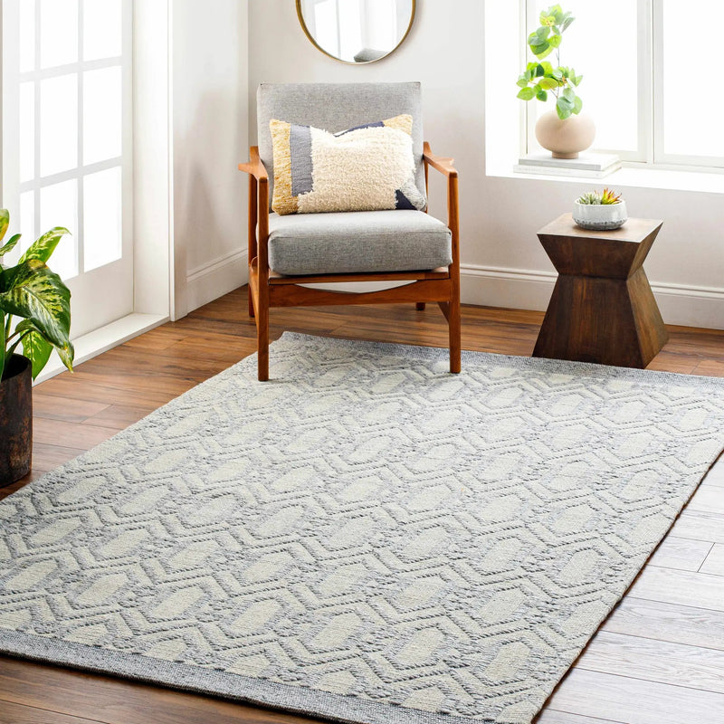 Vahe Area Rug - Clearance by Boutique Rugs