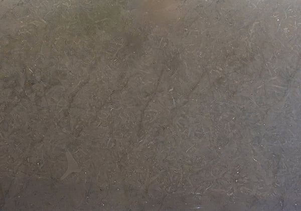 Velvet Taupe Honed Limestone Slab Random
